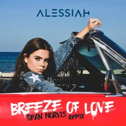 Breeze Of Love Sean Norvis Extended Remix