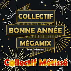Collectif Bonne Année Megamix By Crazy Pitcher