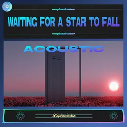 Waiting For A Star To Fall Acoustic Version