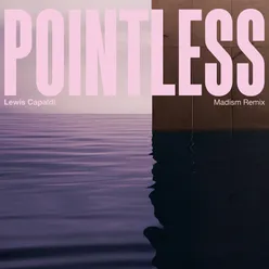 Pointless Madism Remix