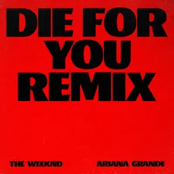 Die For You Instrumental