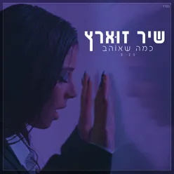 כמה שאוהב