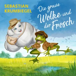 Die graue Wolke und der Frosch