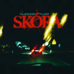 Skóra