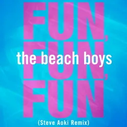 Fun, Fun, Fun Steve Aoki Remix Edit