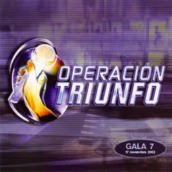 Operación Triunfo Gala 7 / 2003