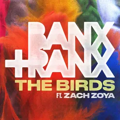 The Birds Extended Mix