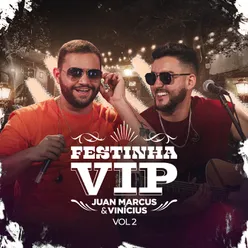 Festinha VIP Ao Vivo / Vol.2