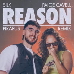 Reason Pirapus Remix