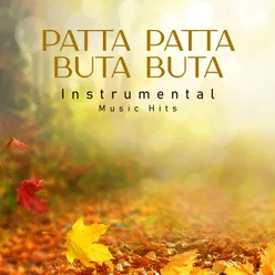 Patta Patta Buta Buta From "Ek Nazar" / Instrumental Music Hits