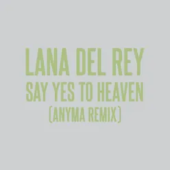 Say Yes To Heaven Anyma Remix