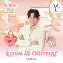 Love is Normal From Wedding Plan The Series