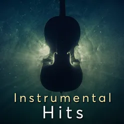 Guncha From "Main Meri Patni Aur Woh" / Instrumental Music Hits