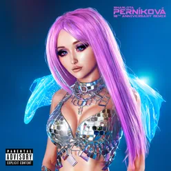 Perníková 10th Anniversary Remix