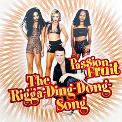 The Rigga-Ding-Dong-Song Radio Mix