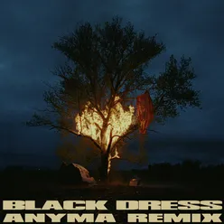 Black Dress Anyma Remix