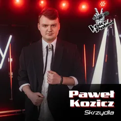 Skrzydła