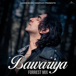 Bawariya Forrest Mix