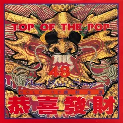 Top Of The Pop 48 New Year Songs