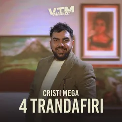 4 Trandafiri