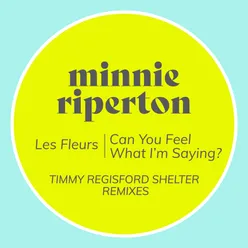 Les Fleurs / Can You Feel What I'm Saying? Timmy Regisford Shelter Remixes