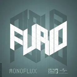 Monoflux