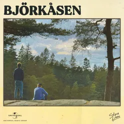 Björkåsen