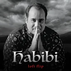 Habibi Lofi Flip