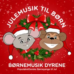 Til Julebal I Nisseland