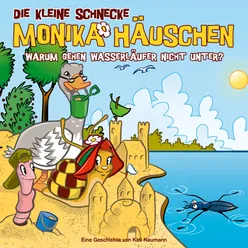 Warum gehen Wasserläufer nicht unter? - Teil 04