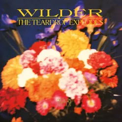 Wilder Remastered Expanded Edition