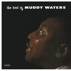 The Best Of Muddy Waters