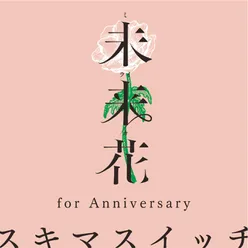 Miraika For Anniversary