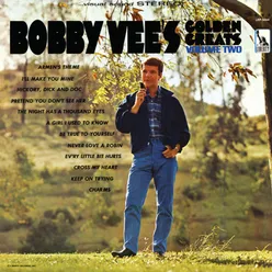 Bobby Vee's Golden Greats Vol. 2