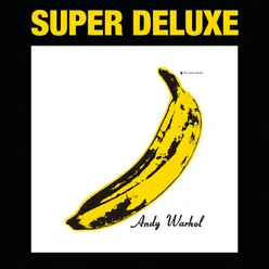The Velvet Underground & Nico 45th Anniversary / Super Deluxe Edition