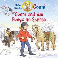 Conni und die Ponys im Schnee - Teil 40