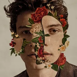 Shawn Mendes Deluxe