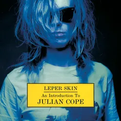 Leper skin - An Introduction To Julian Cope 1986-92