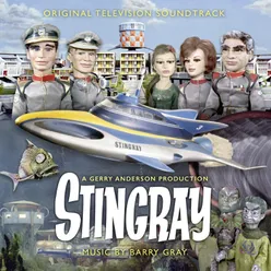 Stingray - One Marine Minute
