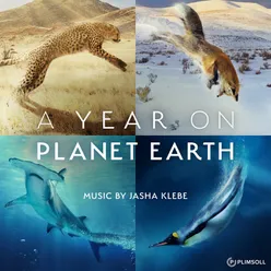 A Year On Planet Earth Original Television Soundtrack