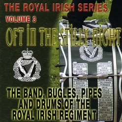 10th Battalion The Ulster Defence Regiment - 10th Anniverary Of The Ulster Defence Regiment