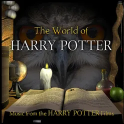 Harry's Wondrous World From "Harry Potter and the Philosopher's Stone"