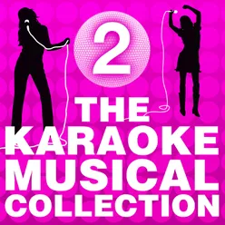 The Karaoke Musical Collection Vol. 2