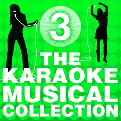 The Karaoke Musical Collection Vol. 3