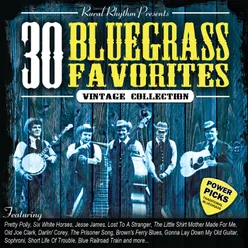 30 Bluegrass Favorites Power Picks: Vintage Collection