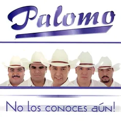 No Me Conoces Aún Ranchera Version