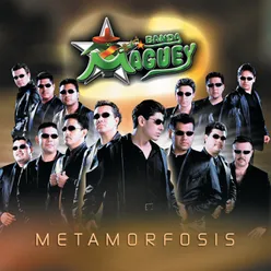 Metamorfosis