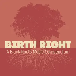 Birthright: A Black Roots Music Compendium Blues Sampler