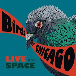 I Have Heard Words Live From SPACE (Evanston, Illinois / June 28, 2013)