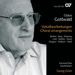 Wolf: Mörike-Lieder - XVII. Der Gärtner (Transcr. Gottwald for Vocal)